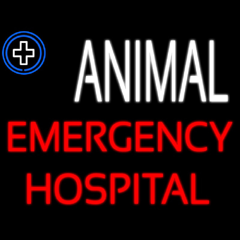 Animal Emergency Hospital Neonkyltti