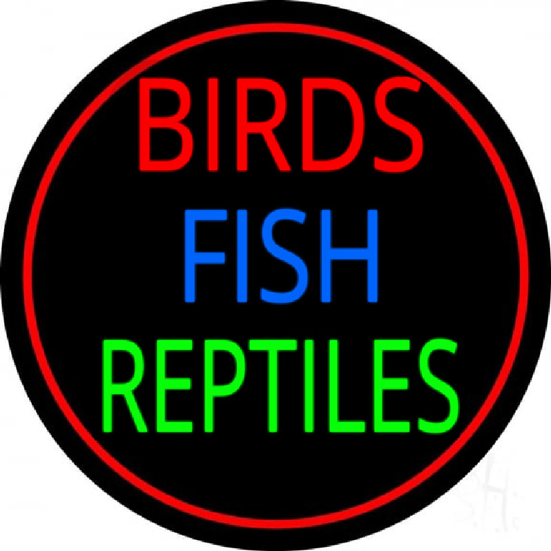 Birds Fish Reptiles 2 Neonkyltti