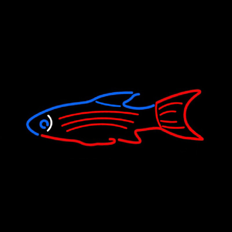 Blue Red Fish Neonkyltti