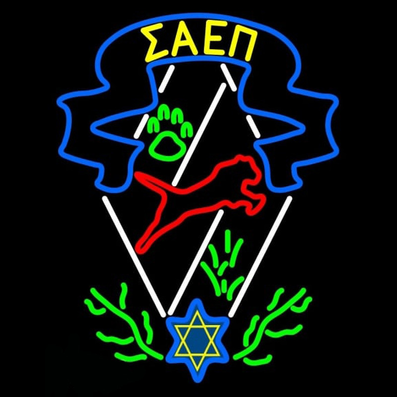 Sigma Alpha Epsilon Pi Logo Neonkyltti