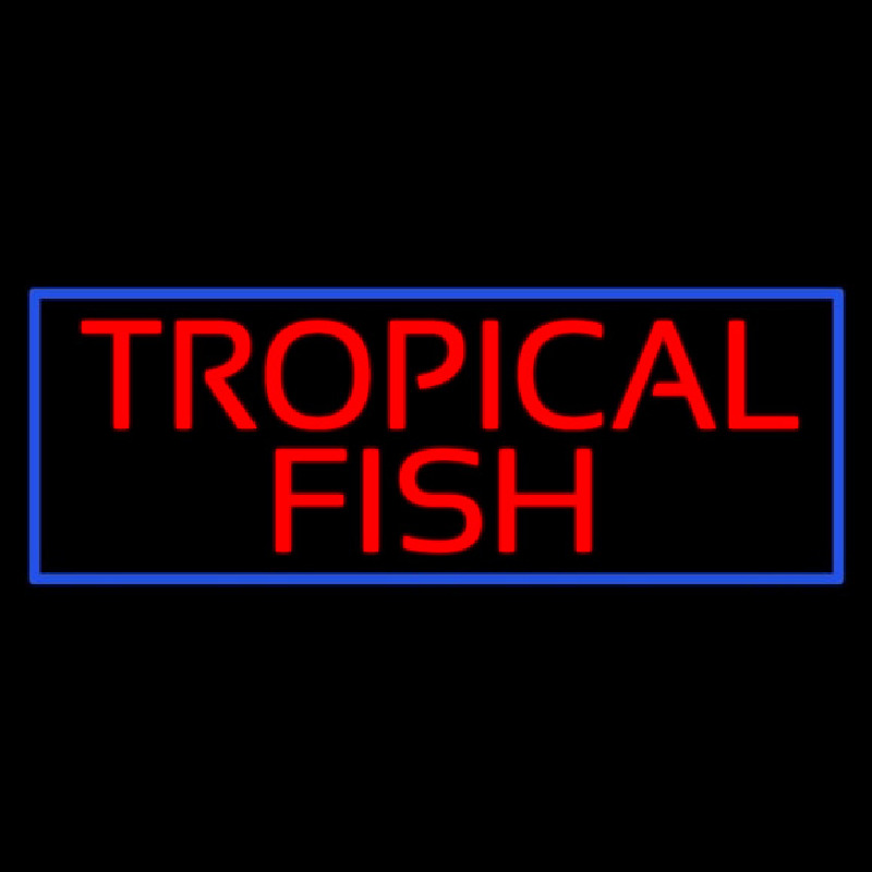 Tropical Fish Blue Border Neonkyltti