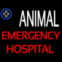 Animal Emergency Hospital Neonkyltti