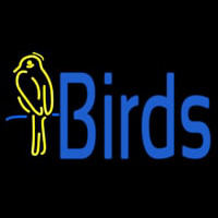 Birds With Logo Neonkyltti