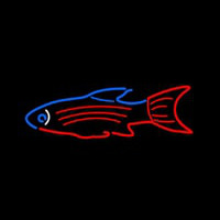 Blue Red Fish Neonkyltti