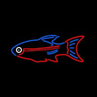 Blue Red Fish Neonkyltti