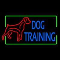 Dog Training Green Border 2 Neonkyltti