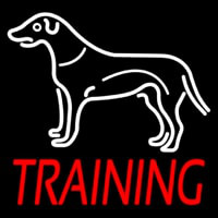 Dog Training Neonkyltti