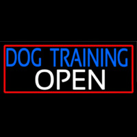 Dog Training Open With Red Border Neonkyltti