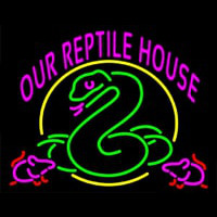 Our Reptile House Neonkyltti