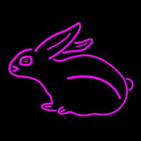 Pink Rabbit Neonkyltti