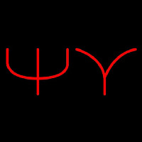 Psi Upsilon Neonkyltti