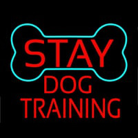 Red Dog Training Block 1 Neonkyltti