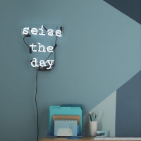 Seize the day Neonkyltti