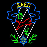 Sigma Alpha Epsilon Pi Logo Neonkyltti