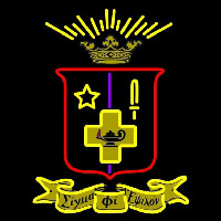 Sigma Phi Epsilon Chapters Logo Neonkyltti