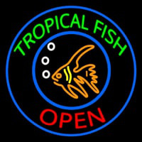 Tropical Fish Open Neonkyltti