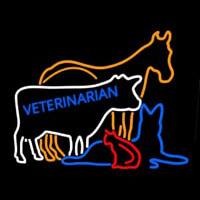 Vet Horse Cow Logo Neonkyltti